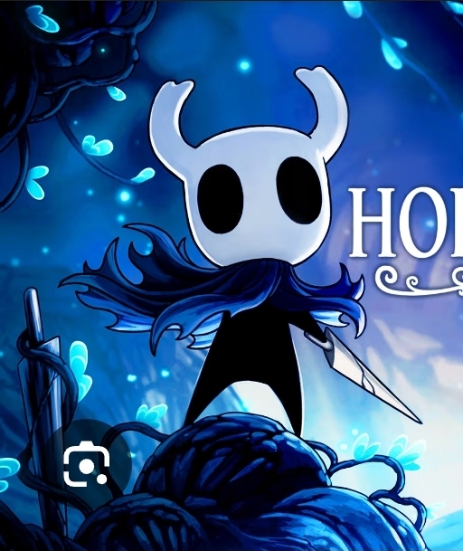 hollow knight